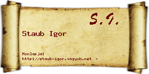 Staub Igor névjegykártya